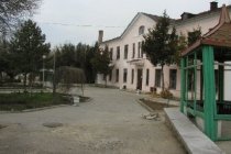 ДОЛ им. Ленина фото