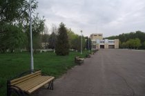 ДОЛ Метеор фото