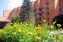 Пансионат Звенигородский РАН фото