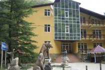 Гостиничный комплекс Медвежий угол фото