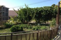 Дом отдыха Атон фото