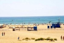 Гостиница Морской конек фото