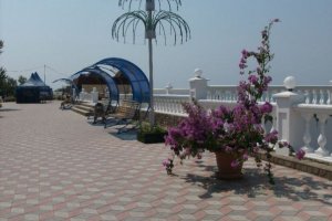 Фото Николаевки