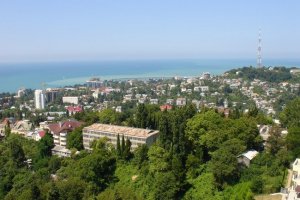 Фото Хосты