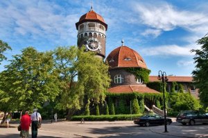 Фото Светлогорска