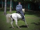 Конный клуб