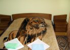 2-местный улучшенный номер
