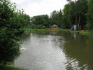Пруд в УМЦ Голицыно