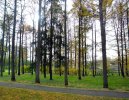 Территория дома отдыха Колонтаево