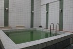Бассейн в сауне