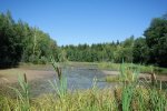 Можайское водохранилище
