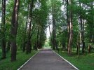 Территория