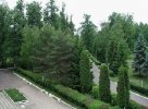 Вид из окна