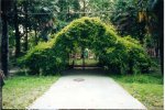 Территория