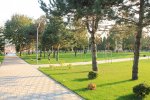 Территория