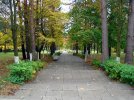 Территория пансионата